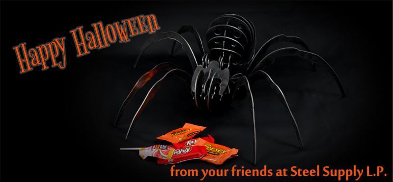 Halloween Spider 10 31 2017