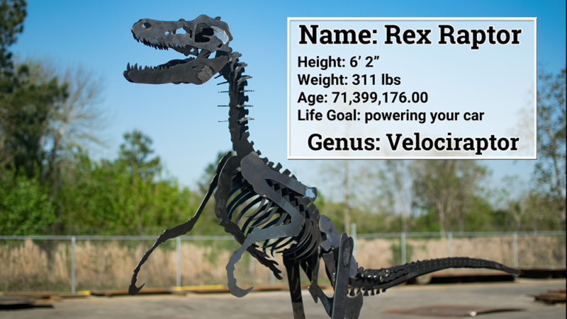 Rex Raptor stat