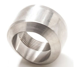 Stainless Steel WEB D RING FORGED SS 316 2 in.