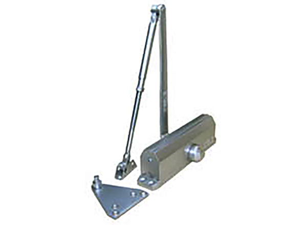 Economy hydraulic door closer